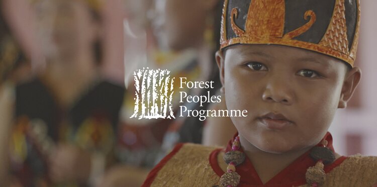 Screenshot of Forest Peoples Programme