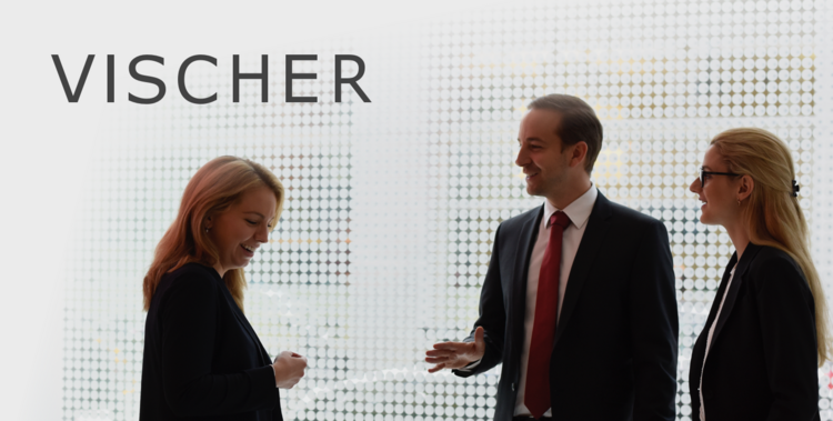 Screenshot of Vischer